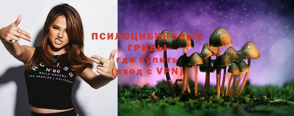 молекула духа Осташков
