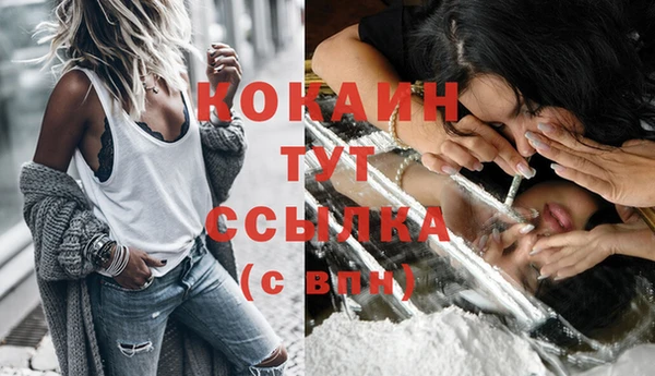 молекула духа Осташков