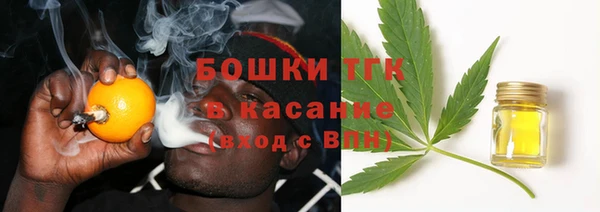 молекула духа Переславль-Залесский