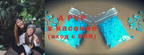 молекула духа Осташков