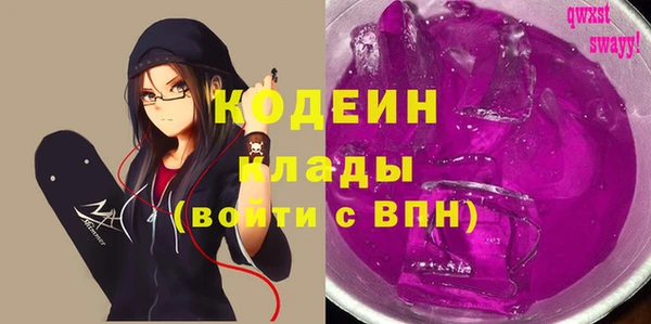 молекула духа Осташков
