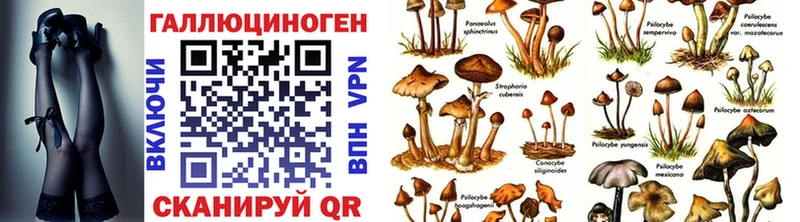 блэк спрут сайт  Разумное  Псилоцибиновые грибы прущие грибы  купить закладку 